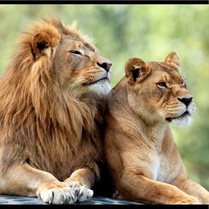 Meet your Posher, Jaqueline